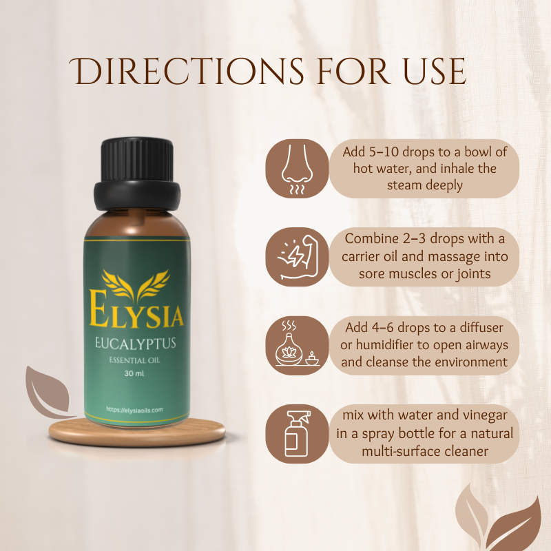 Eucalyptus - 30 ml