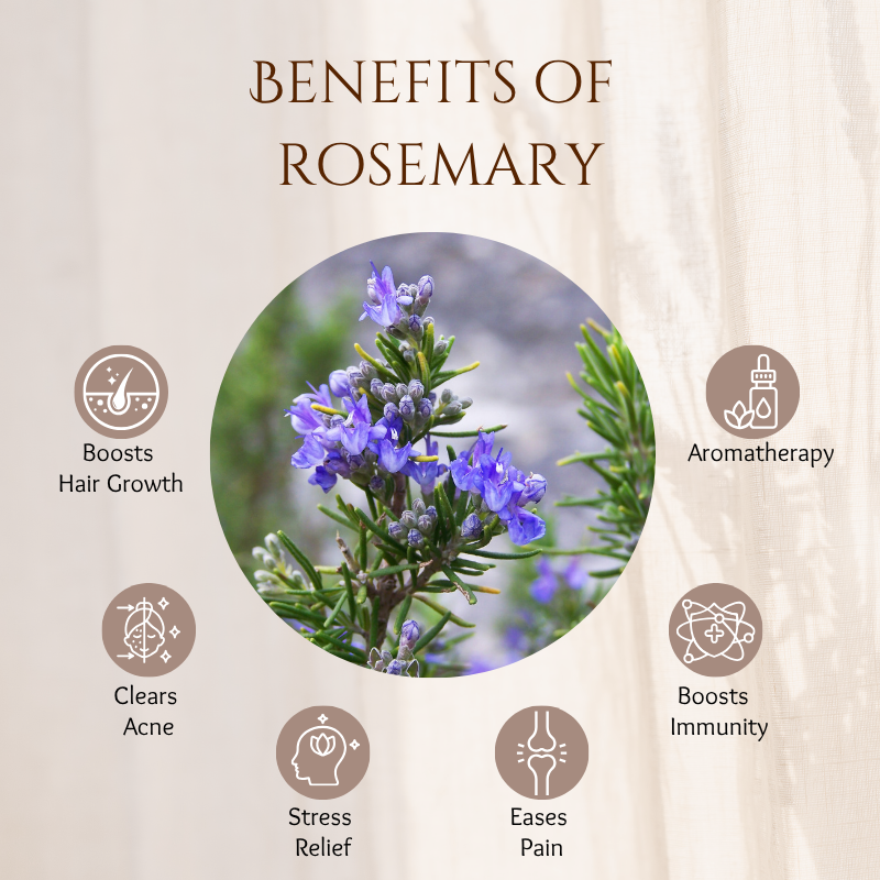 Rosemary - 30 ml
