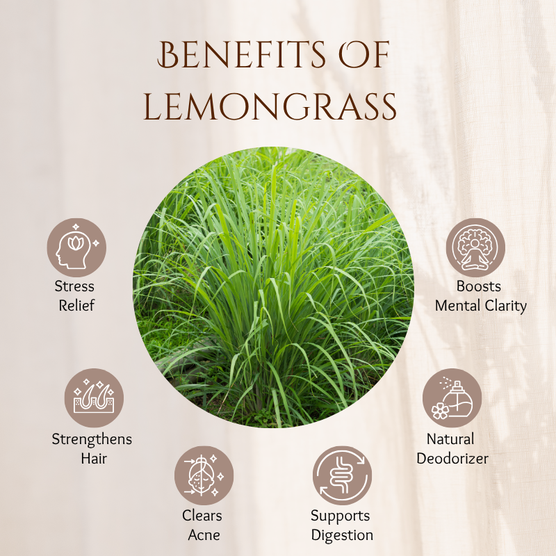 Lemongrass - 30 ml