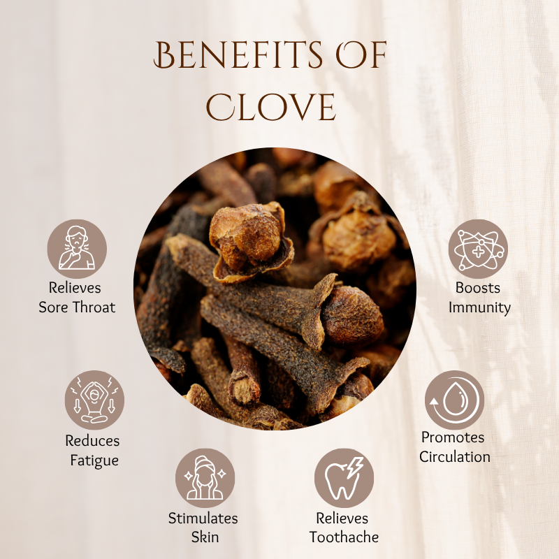 Clove - 30 ml