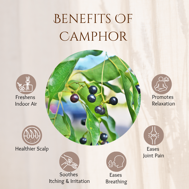 Camphor - 30 ml