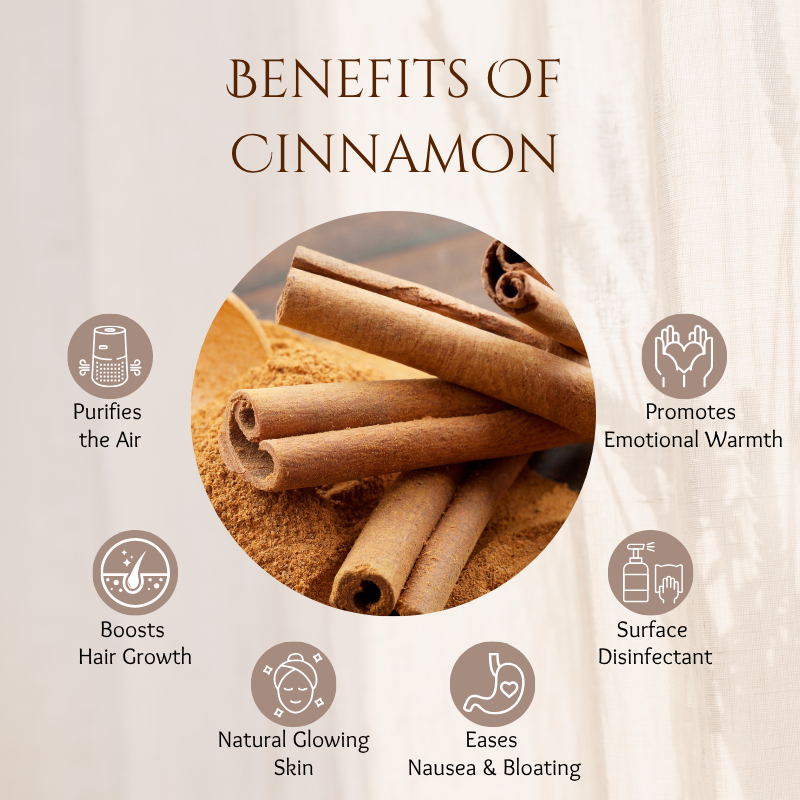 Cinnamon - 30 ml