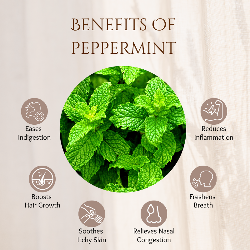 Peppermint - 30 ml