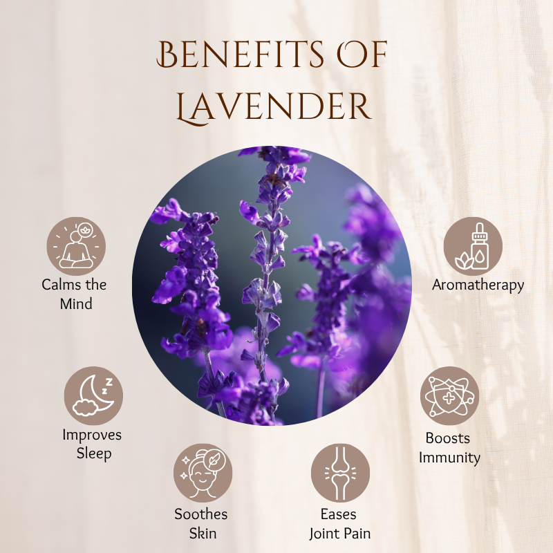 Lavender - 30 ml