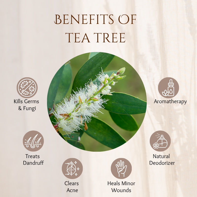 Tea Tree - 30 ml