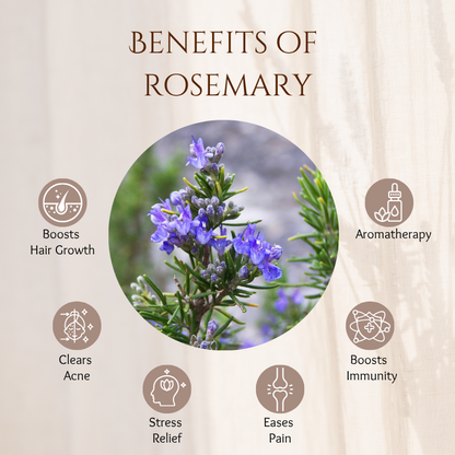 Rosemary - 30 ml