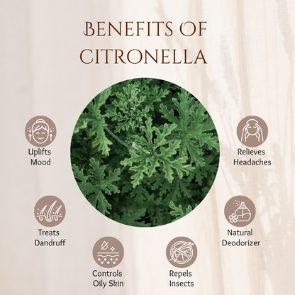 Citronella - 30 ml