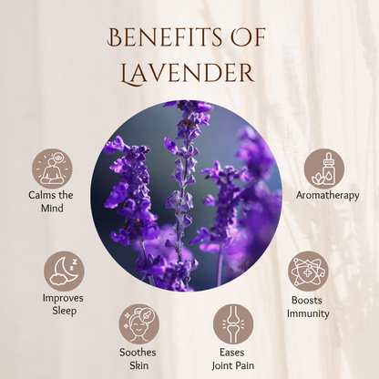 Lavender - 30 ml